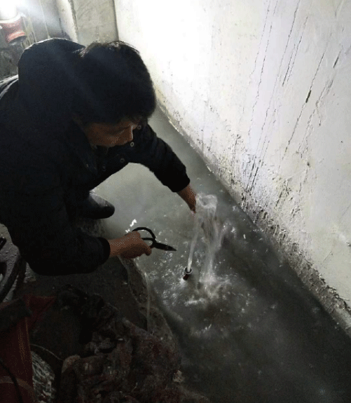 秦皇岛海港区防水堵漏